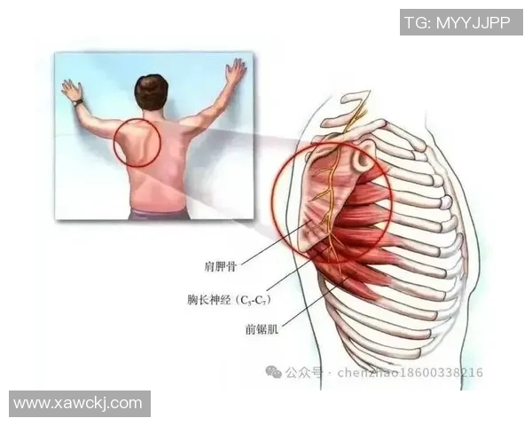 打篮球时右肩胛骨疼痛的原因及缓解方法探讨